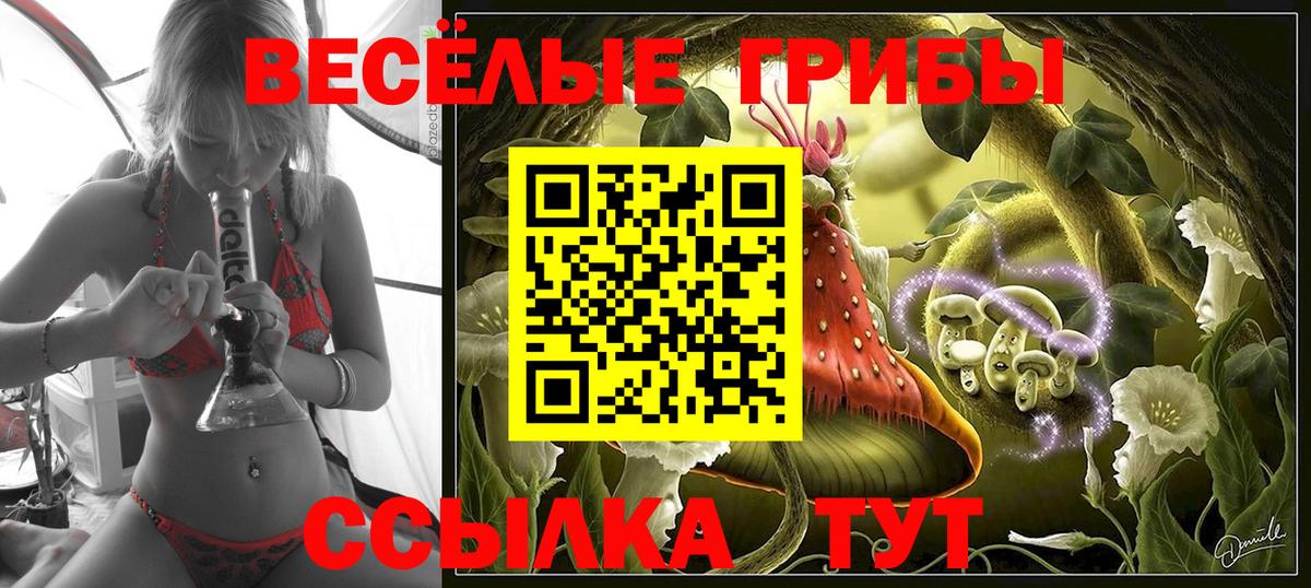 Псилоцибиновые грибы MAGIC MUSHROOMS Жуковский