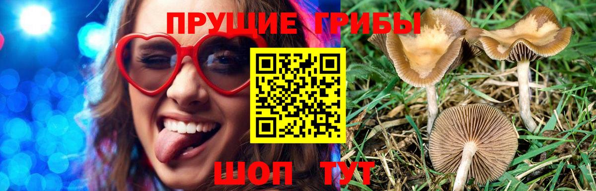 Галлюциногенные грибы мухоморы  Псилоцибиновые грибы Cubensis  Вход с VPN  Жуковский 